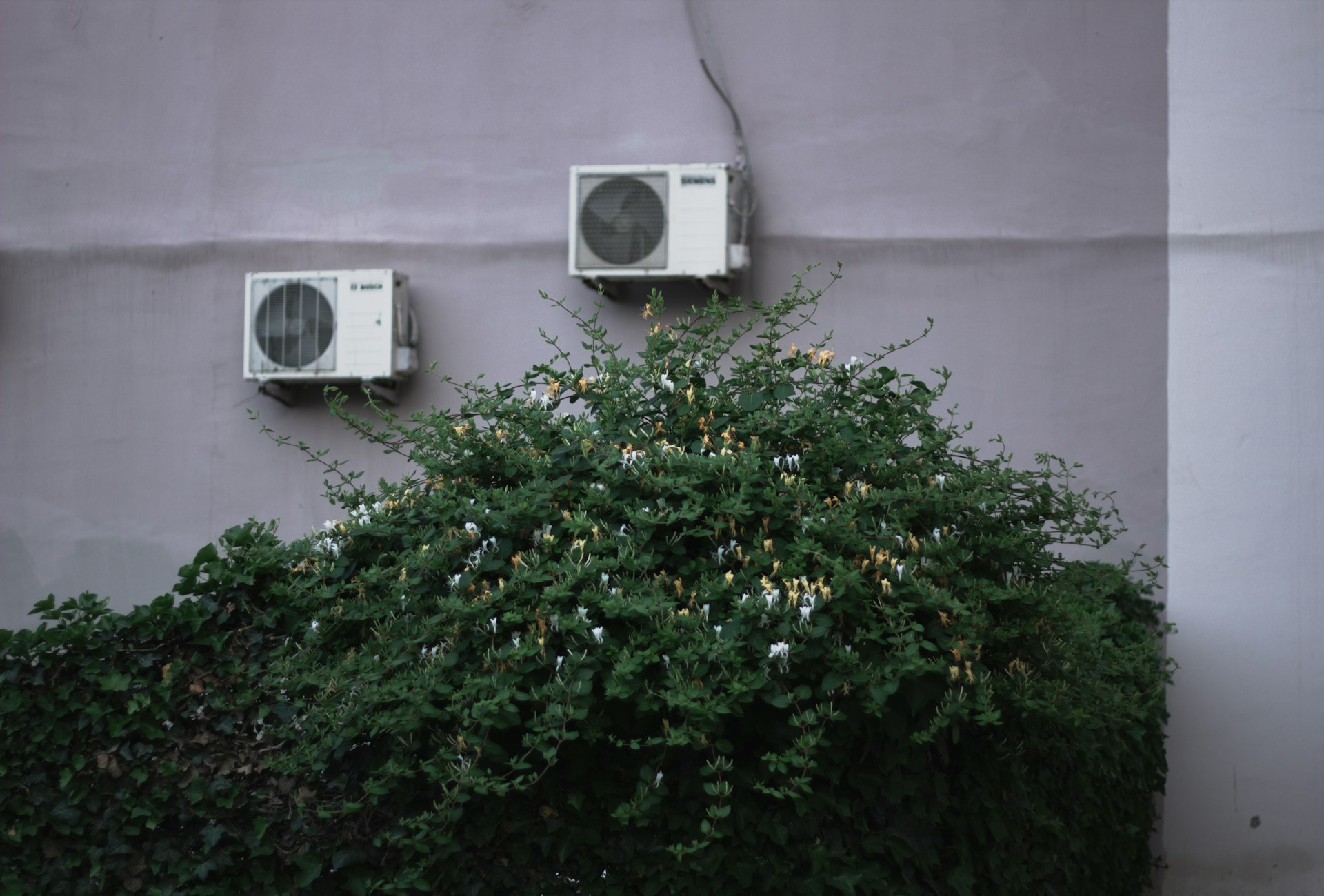 AC maintenance
